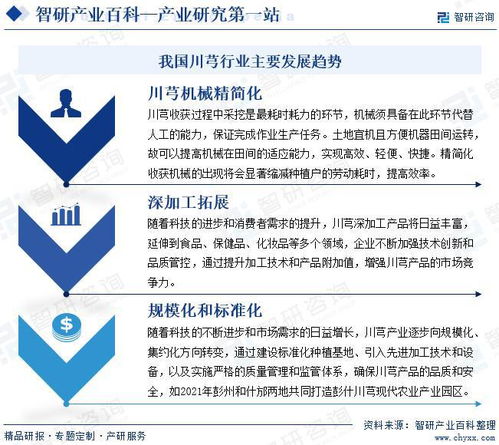 中國(guó)川芎行業(yè)發(fā)展驅(qū)動(dòng)因素與市場(chǎng)運(yùn)行格局分析報(bào)告